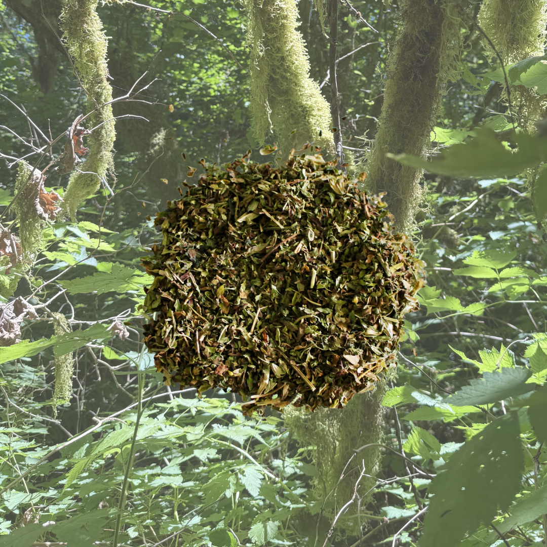 Nervous System Blend